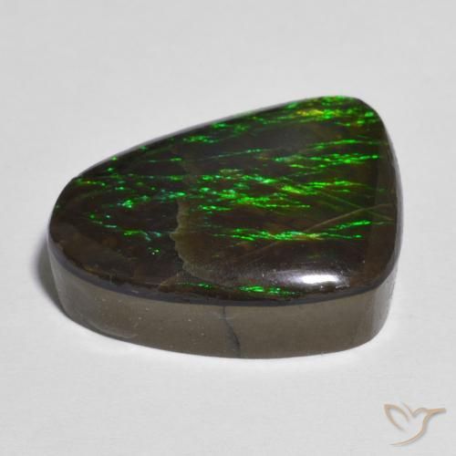Ammolite Multicolore naturelle Fantaisie, 12.13 ct, Opaque