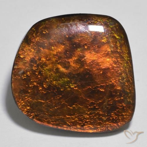 Ammolite Multicolore naturelle Fantaisie, 16.86 ct, Opaque