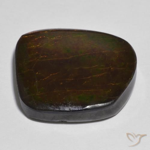 Ammolite Multicolore naturelle Fantaisie, 16.86 ct, Opaque