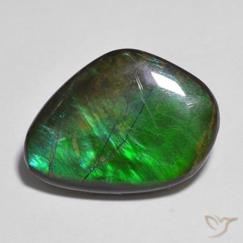 Ammolite Multicolore naturelle Fantaisie, 11.06 ct, Opaque
