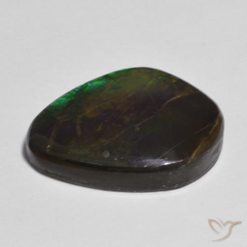 Ammolite Multicolore naturelle Fantaisie, 11.06 ct, Opaque