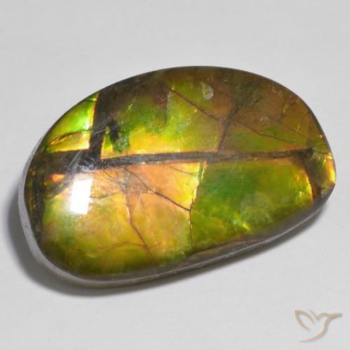 Ammolite Multicolore naturelle Fantaisie, 17.79 ct, Opaque