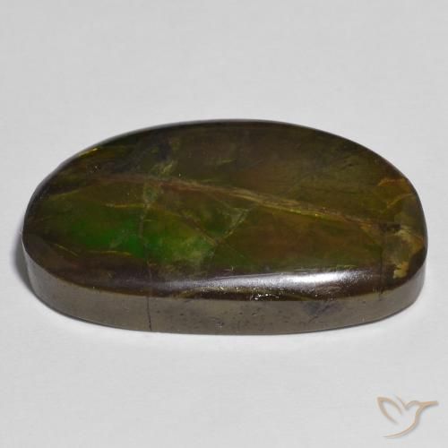 Ammolite Multicolore naturelle Fantaisie, 17.79 ct, Opaque