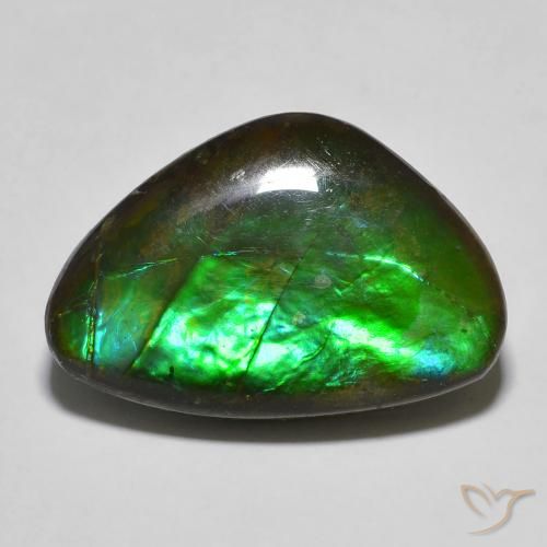 13.27ct Naturel Multicolore Ammolite, Fantaisie, Opaque