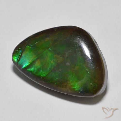Ammolite Multicolore naturelle Fantaisie, 13.27 ct, Opaque