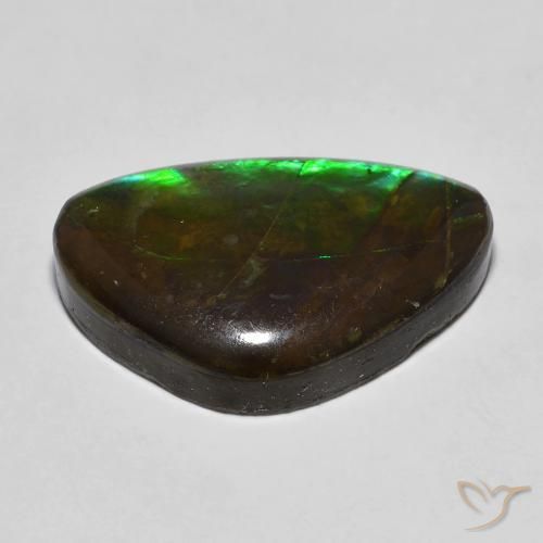 Ammolite Multicolore naturelle Fantaisie, 13.27 ct, Opaque