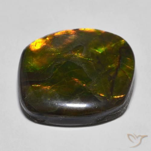 Ammolite Multicolore naturelle Fantaisie, 16.97 ct, Opaque