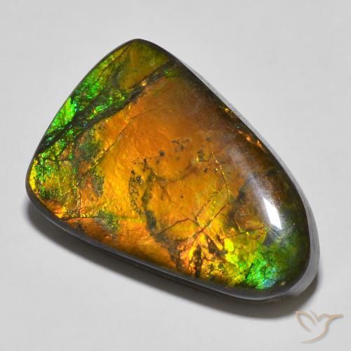 Ammolite Multicolore naturelle Fantaisie, 16.68 ct, Opaque