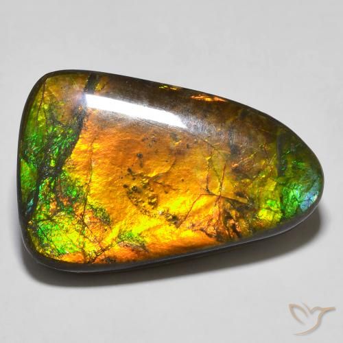 Ammolite Multicolore naturelle Fantaisie, 16.68 ct, Opaque