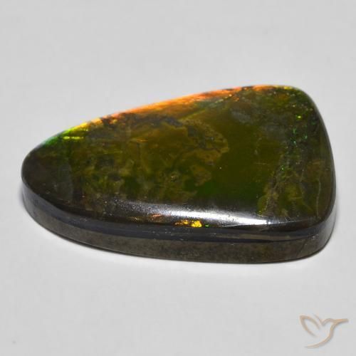 Ammolite Multicolore naturelle Fantaisie, 16.68 ct, Opaque