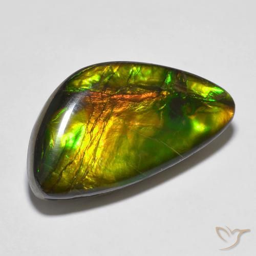 Ammolite Multicolore naturelle Fantaisie, 14.81 ct, Opaque