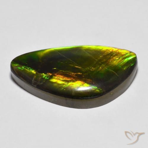 Ammolite Multicolore naturelle Fantaisie, 14.81 ct, Opaque