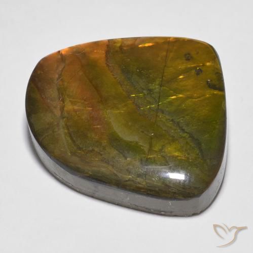 Ammolite Multicolore naturelle Fantaisie, 20.15 ct, Opaque