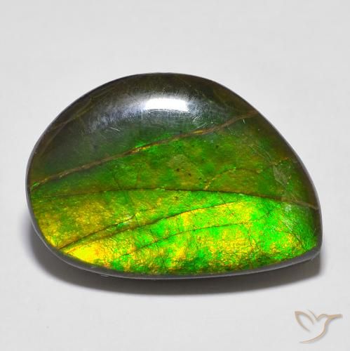 16.43ct Naturel Multicolore Ammolite, Fantaisie, Opaque