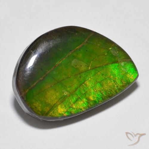 Ammolite Multicolore naturelle Fantaisie, 16.43 ct, Opaque