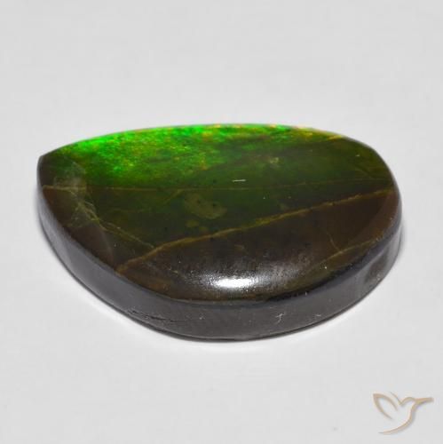 Ammolite Multicolore naturelle Fantaisie, 16.43 ct, Opaque