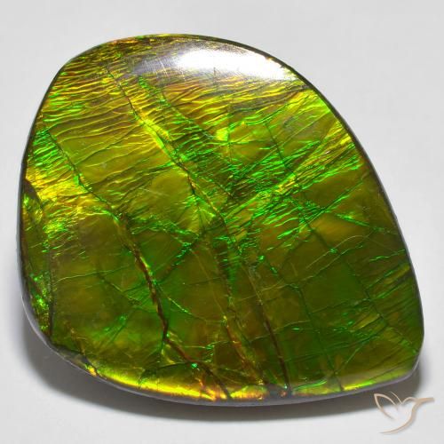 24.62ct Naturel Multicolore Ammolite, Fantaisie, Opaque