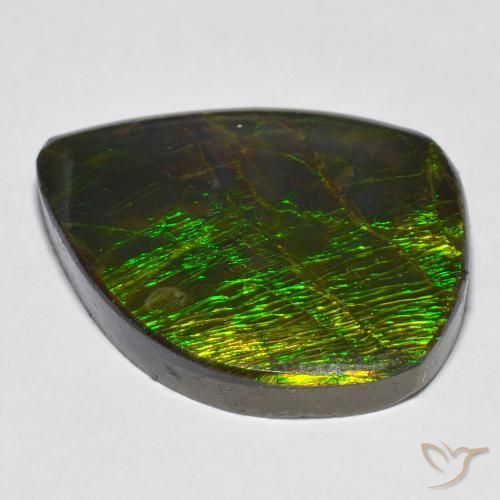 Ammolite Multicolore naturelle Fantaisie, 24.62 ct, Opaque