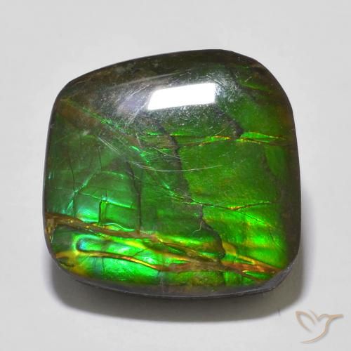 Ammolite Multicolore naturelle Fantaisie, 13.53 ct, Opaque