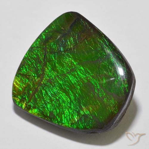 Ammolite Multicolore naturelle Fantaisie, 18.43 ct, Opaque