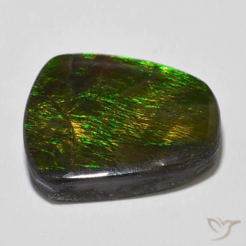 Ammolite Multicolore naturelle Fantaisie, 18.43 ct, Opaque