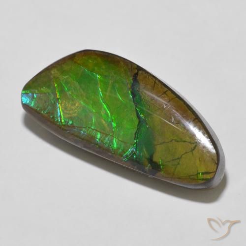 Ammolite Multicolore naturelle Fantaisie, 12.56 ct, Opaque