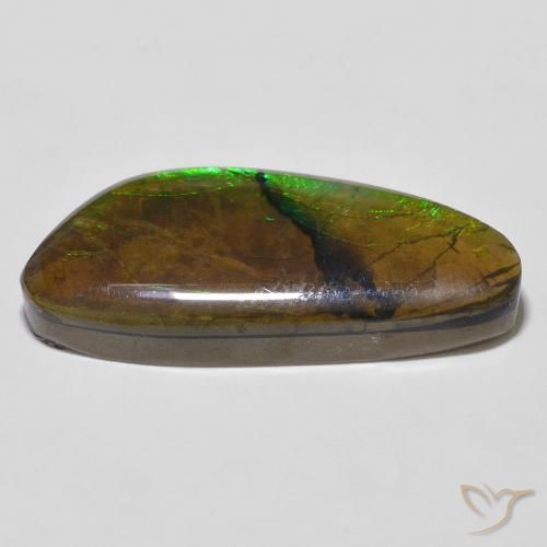 Ammolite Multicolore naturelle Fantaisie, 12.56 ct, Opaque