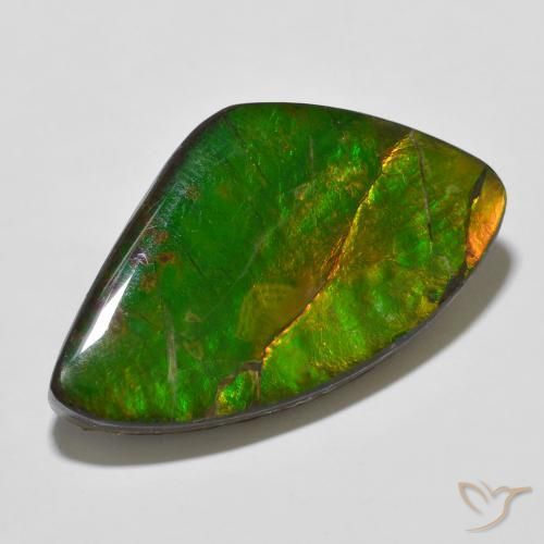 Ammolite Multicolore naturelle Fantaisie, 23.11 ct, Opaque