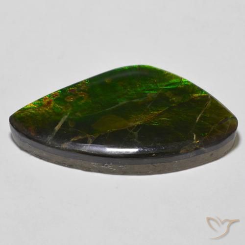 Ammolite Multicolore naturelle Fantaisie, 23.11 ct, Opaque
