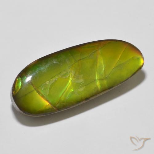 Ammolite Multicolore naturelle Fantaisie, 14.67 ct, Opaque