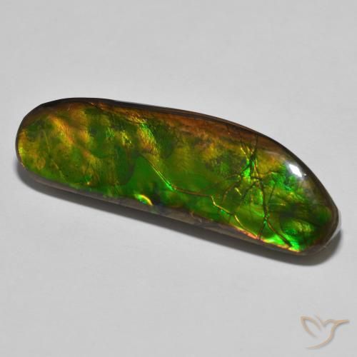 Ammolite Multicolore naturelle Fantaisie, 23.11 ct, Opaque
