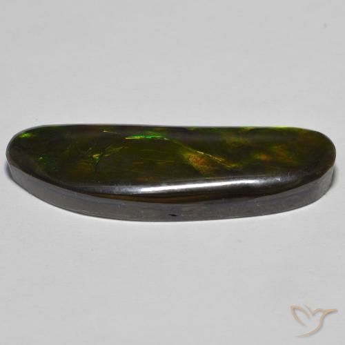 Ammolite Multicolore naturelle Fantaisie, 23.11 ct, Opaque