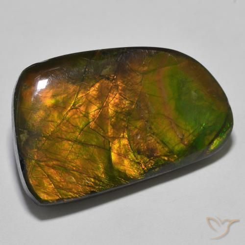 Ammolite Multicolore naturelle Fantaisie, 23.93 ct, Opaque