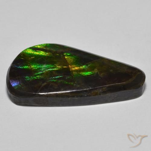 Ammolite Multicolore naturelle Fantaisie, 15.09 ct, Opaque