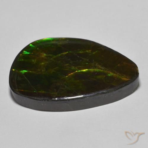 Ammolite Multicolore naturelle Fantaisie, 24.89 ct, Opaque