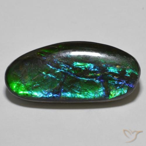 Ammolite Multicolore naturelle Fantaisie, 18.92 ct, Opaque