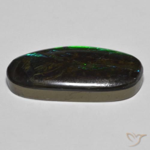 Ammolite Multicolore naturelle Fantaisie, 18.92 ct, Opaque