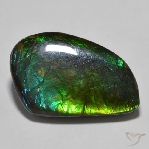 Ammolite Multicolore naturelle Fantaisie, 21.44 ct, Opaque