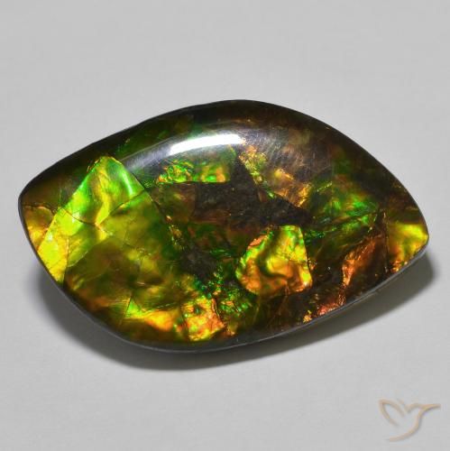 Ammolite Multicolore naturelle Fantaisie, 22.60 ct, Opaque