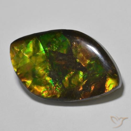 Ammolite Multicolore naturelle Fantaisie, 22.60 ct, Opaque