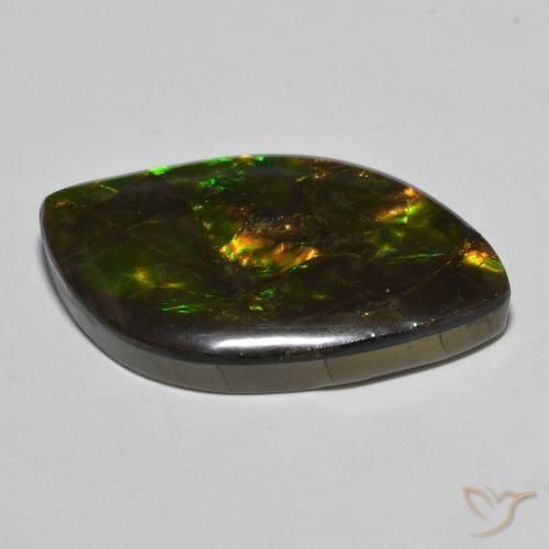 Ammolite Multicolore naturelle Fantaisie, 22.60 ct, Opaque