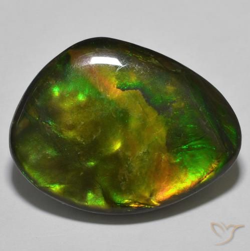 22.15ct Naturel Multicolore Ammolite, Fantaisie, Opaque