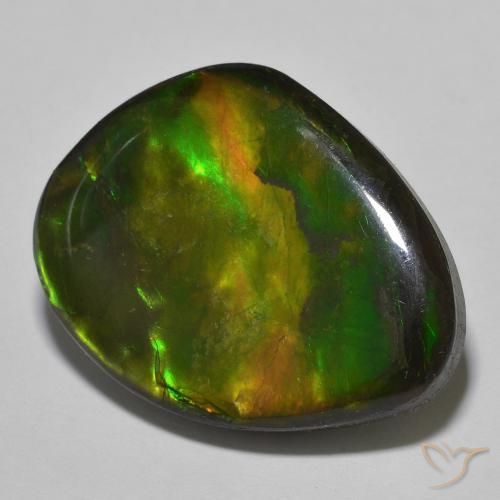 Ammolite Multicolore naturelle Fantaisie, 22.15 ct, Opaque