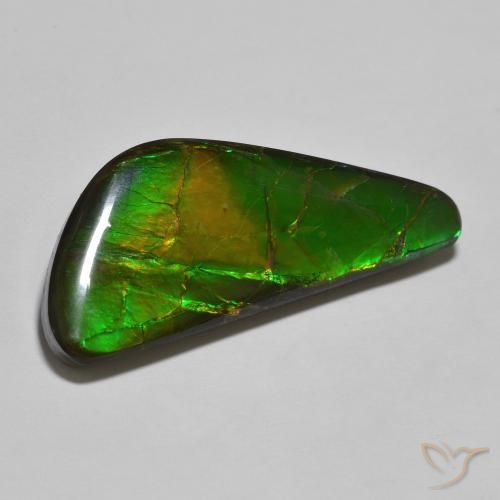 Ammolite Multicolore naturelle Fantaisie, 22.11 ct, Opaque