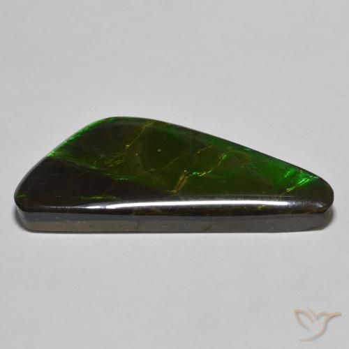 Ammolite Multicolore naturelle Fantaisie, 22.11 ct, Opaque