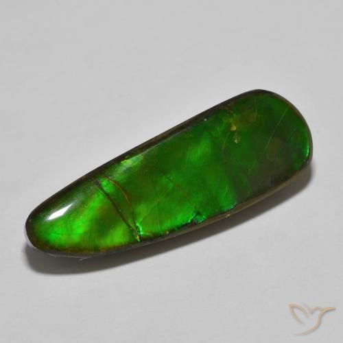 Ammolite Multicolore naturelle Fantaisie, 17.83 ct, Opaque