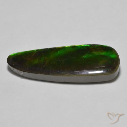 Ammolite Multicolore naturelle Fantaisie, 17.83 ct, Opaque