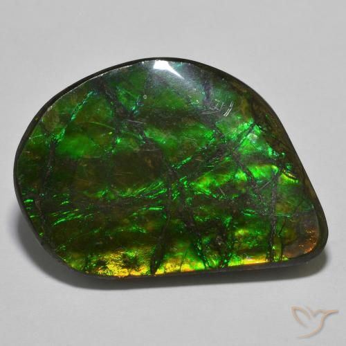 Ammolite Multicolore naturelle Fantaisie, 21.40 ct, Opaque