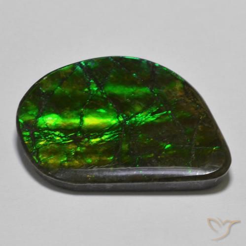 Ammolite Multicolore naturelle Fantaisie, 21.40 ct, Opaque