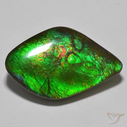Ammolite Multicolore naturelle Fantaisie, 19.69 ct, Opaque